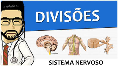 Sistema Nervoso 01 - Divisões (Vídeo Aula)