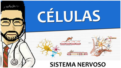 Sistema Nervoso 02 - Células / Tecido / Histologia (Vídeo Aula)