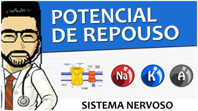 Sistema Nervoso 03 - Potencial de Repouso (Vídeo Aula)