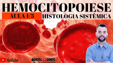 Histologia Sistêmica - Hemocitopoese (Hematopoiese) - Aula 1