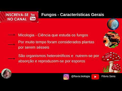 Fungos Características Gerais