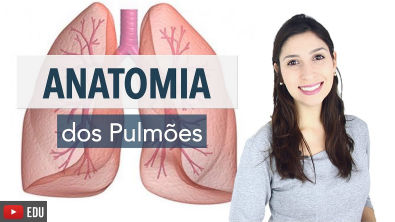 Sistema Respiratório 4/6: Anatomia dos Pulmões | Anatomia e etc