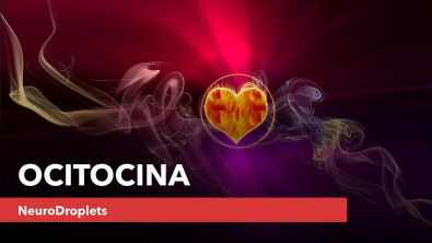 Ocitocina: o hormônio do amor e da felicidade? Sim, e muito mais!