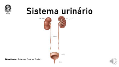 Sistema urinário (prática)