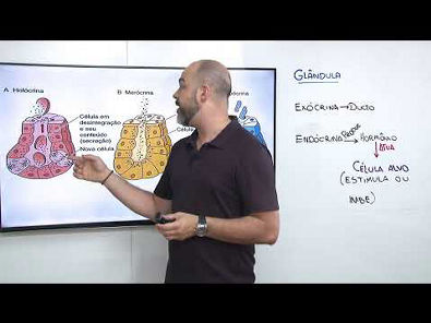 Biologia - Tecido Epitelial Glandular - Prof Nelson